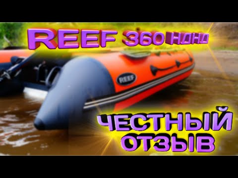 Обложка видео «REEF 360 НДНД — отзыв после двух сезонов»